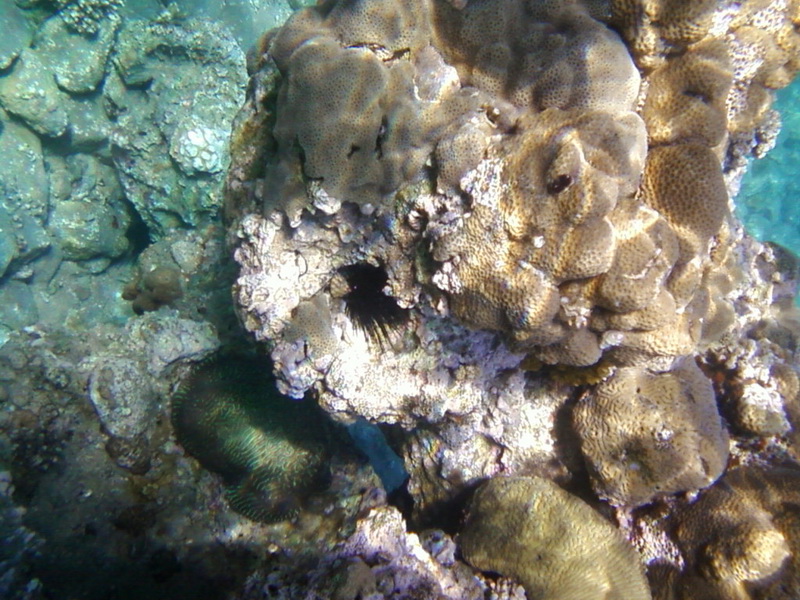 2009-12-19_18.jpg
