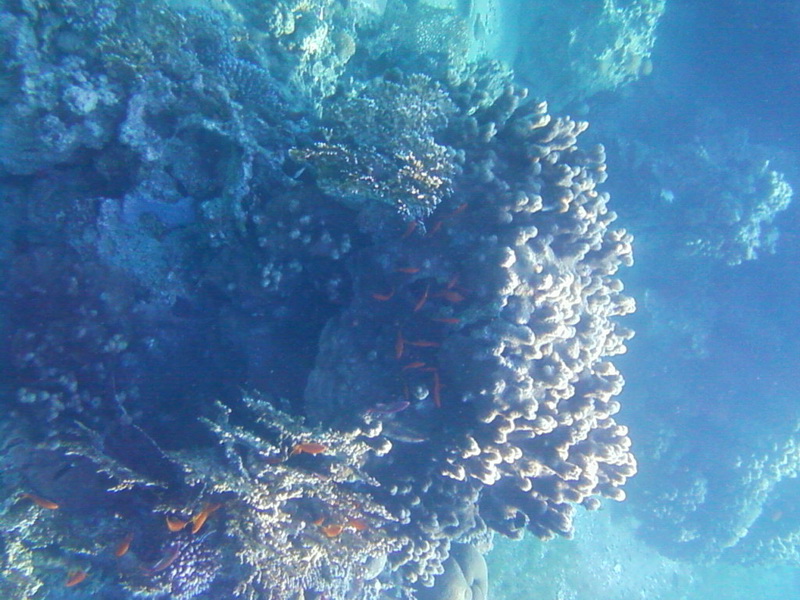 2009-12-19_19.jpg